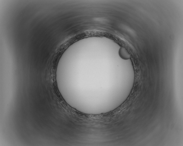 X0000111510870200907211201