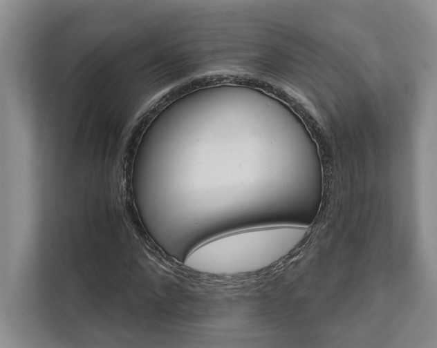 X0000111510872200907211201