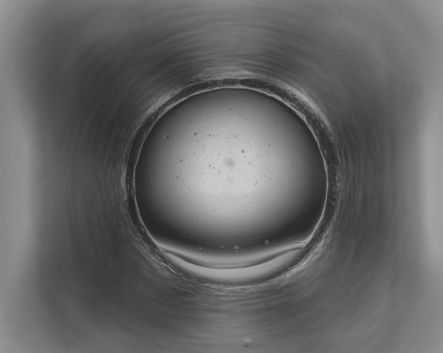 X0000111510873200907211201