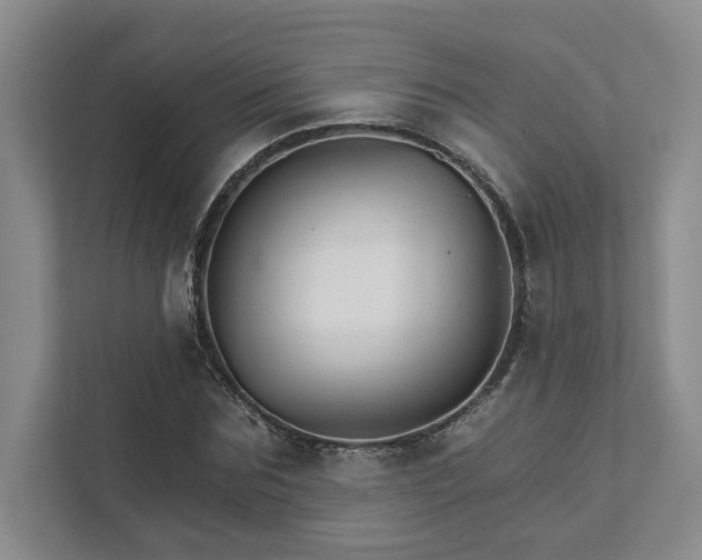 X0000111510875200907211201