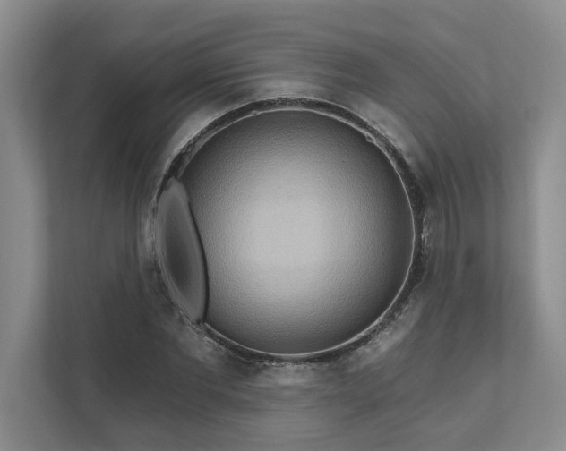X0000111510877200907211201