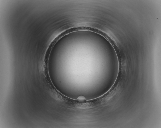 X0000111510879200907211201
