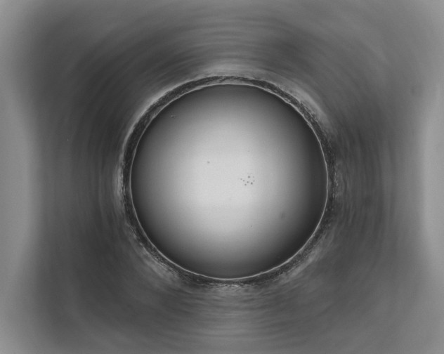 X0000111510880200907211201