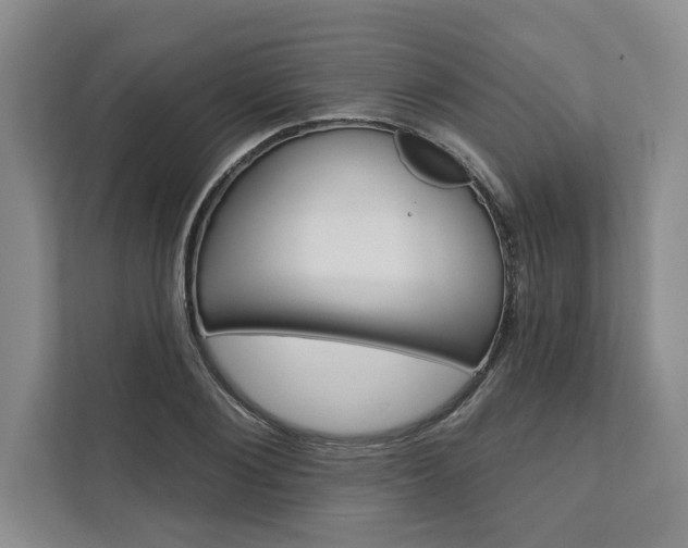 X0000111510884200907211201