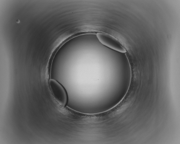 X0000111510885200907211201