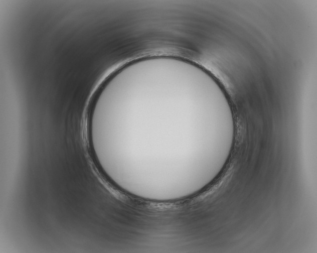 X0000111510886200907211201