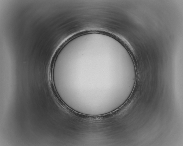 X0000111510887200907211201