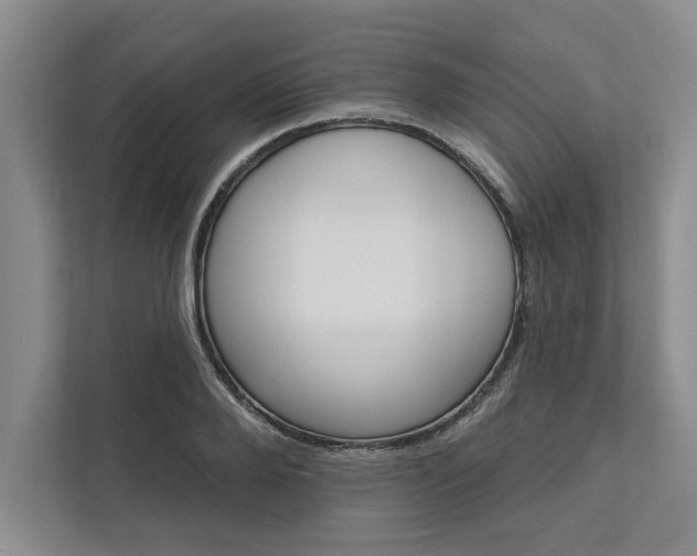 X0000111510888200907211201
