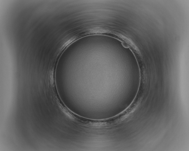 X0000111510889200907211201