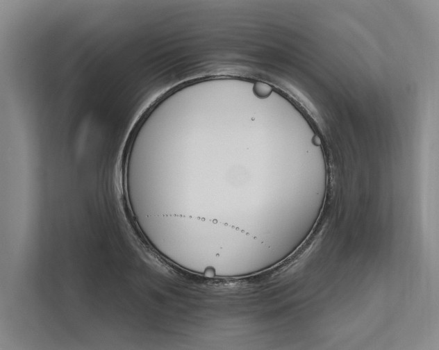 X0000111510891200907211201
