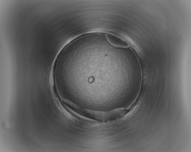 X0000111510892200907211201