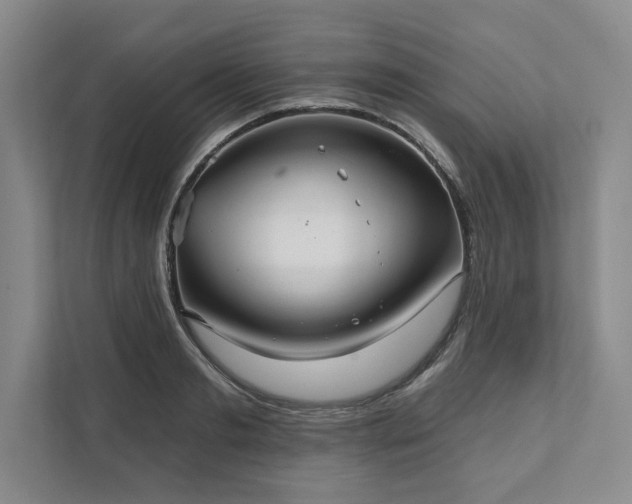 X0000111510893200907211201