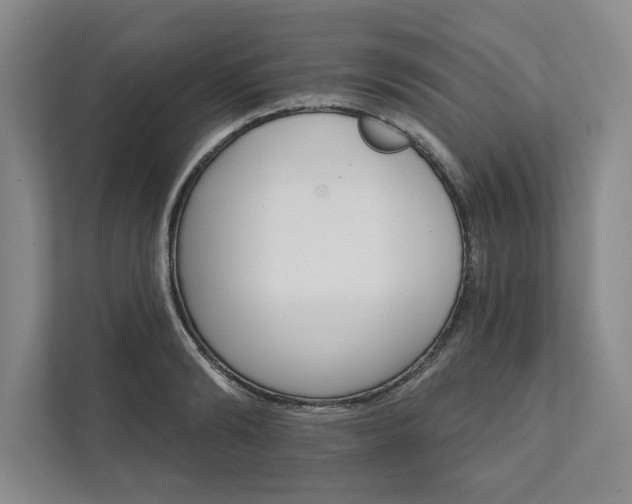 X0000111510894200907211201