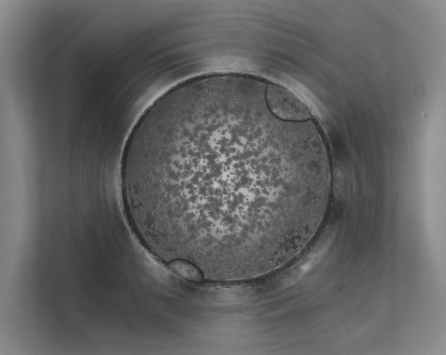 X0000111510895200907211201