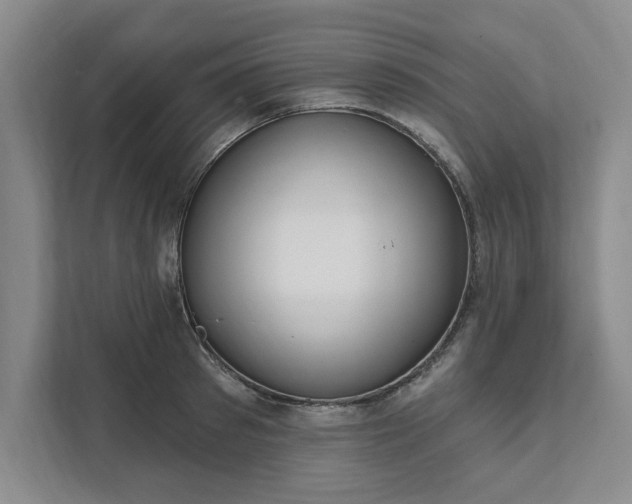 X0000111510897200907211201