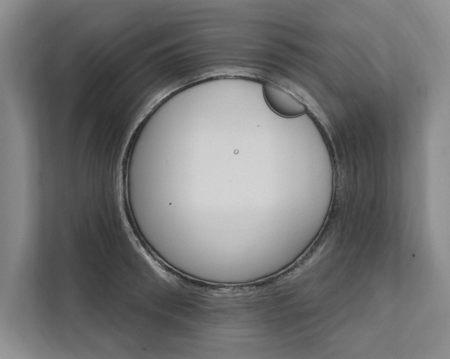 X0000111510898200907211201