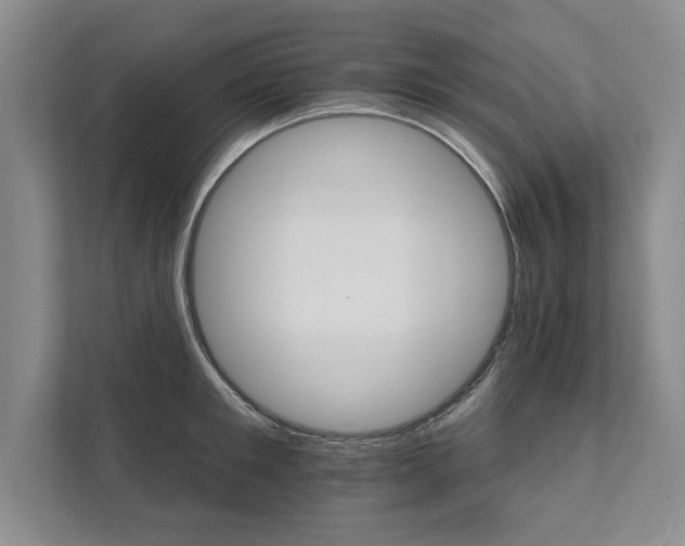 X0000111510901200907211201