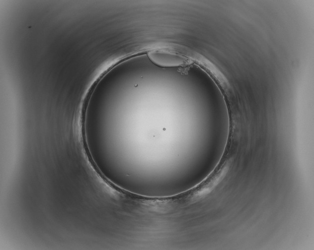 X0000111510902200907211201