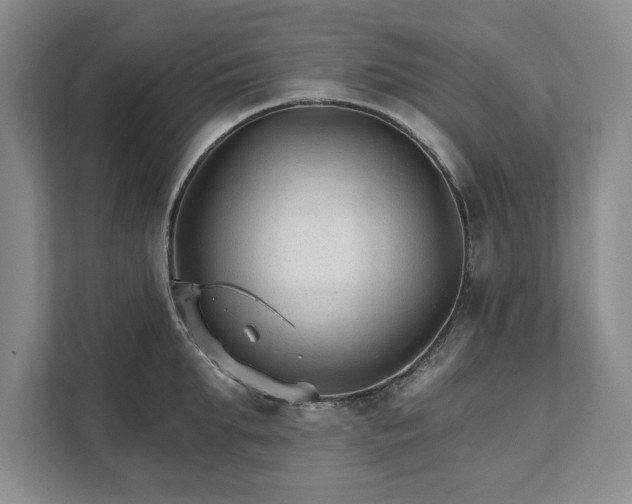 X0000111510903200907211201