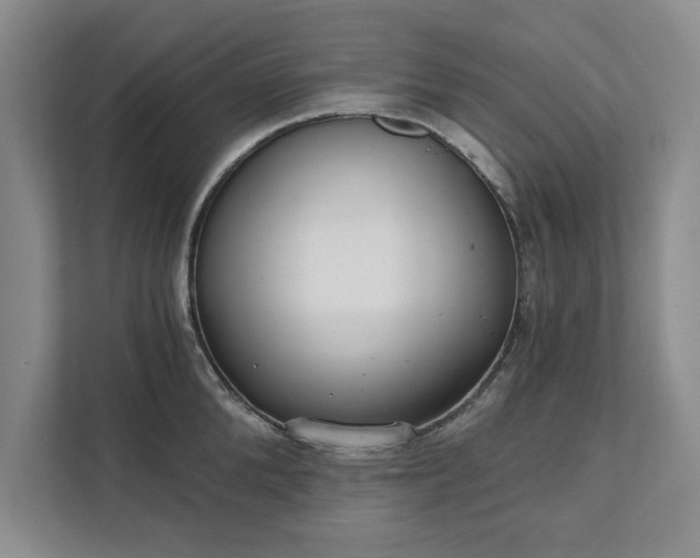 X0000111510904200907211201