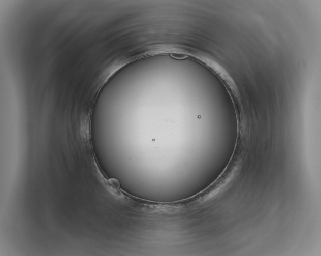 X0000111510905200907211201
