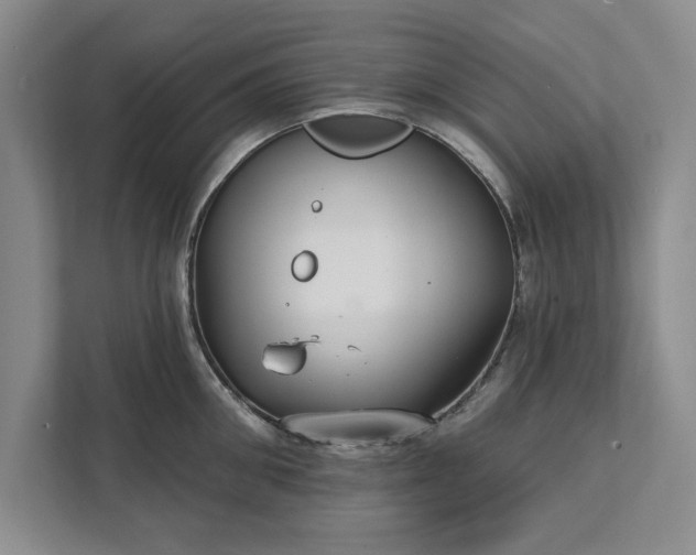 X0000111510906200907211201