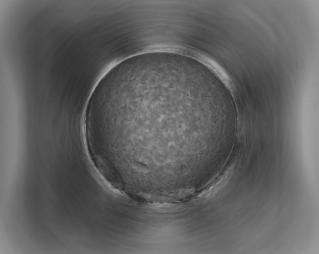 X0000111510907200907211201
