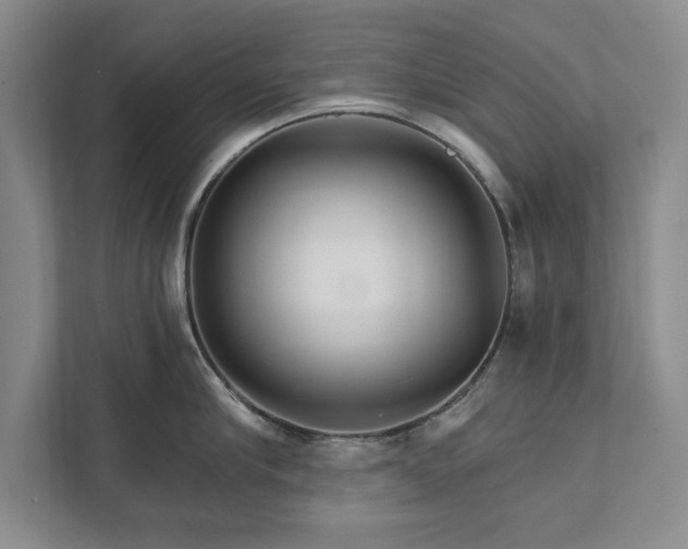 X0000111510910200907211201
