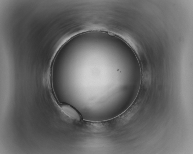 X0000111510911200907211201