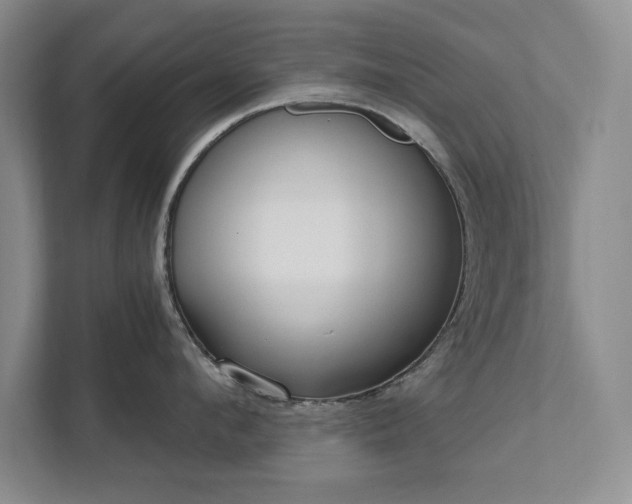 X0000111510912200907211201