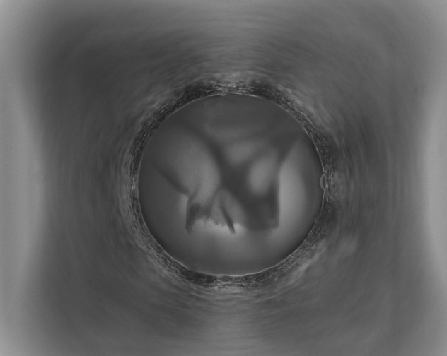 X0000111510913200907211200