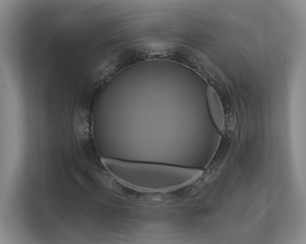 X0000111510916200907211200