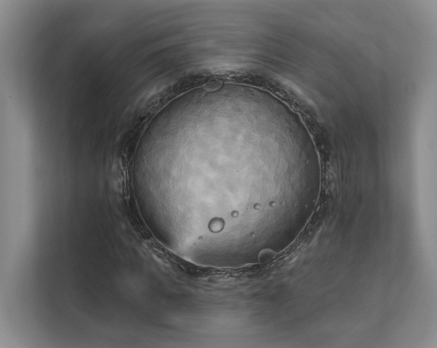 X0000111510917200907211200