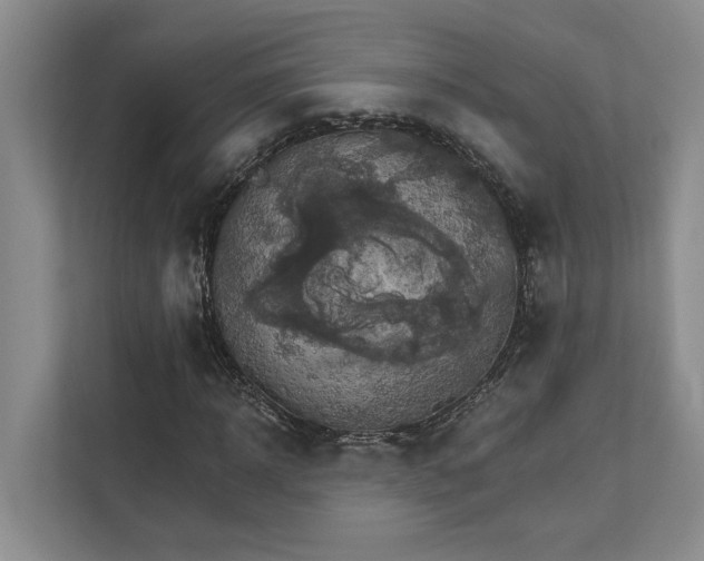 X0000111510918200907211200