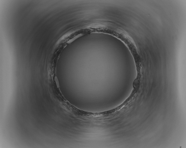X0000111510920200907211200