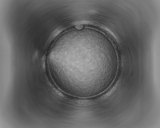 X0000111510921200907211200