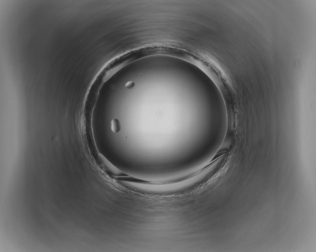 X0000111510924200907211200