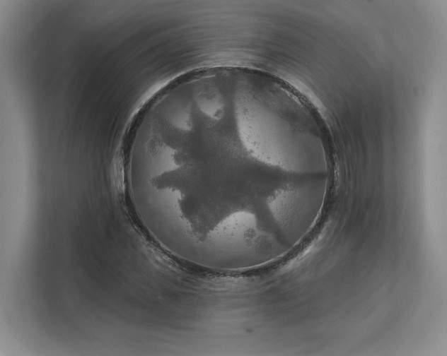 X0000111510925200907211200