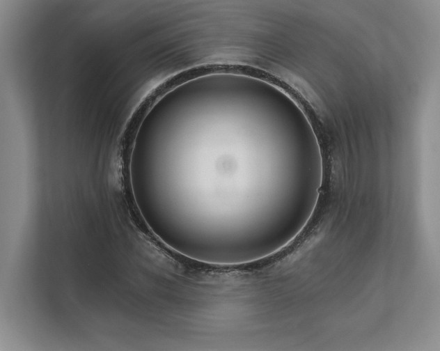 X0000111510926200907211200