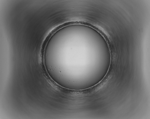 X0000111510927200907211200