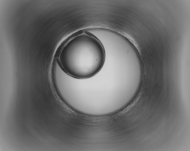 X0000111510928200907211200
