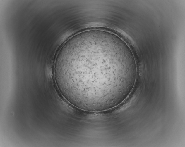 X0000111510929200907211200