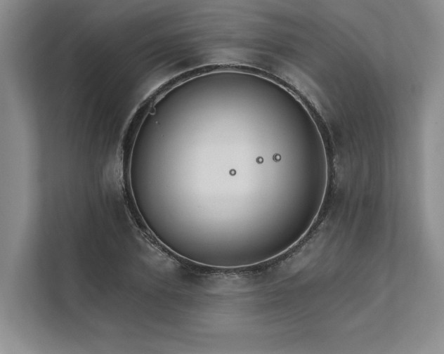 X0000111510931200907211200