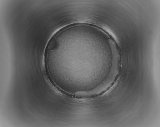 X0000111510932200907211200