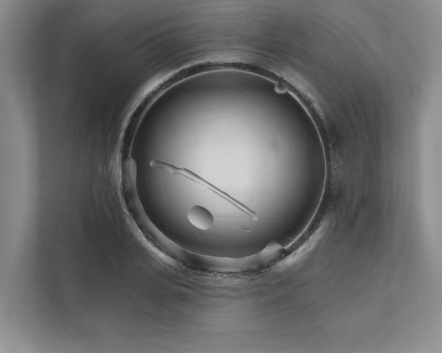 X0000111510935200907211200