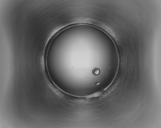 X0000111510936200907211200