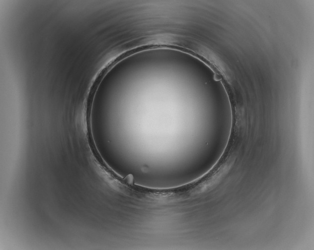 X0000111510939200907211200