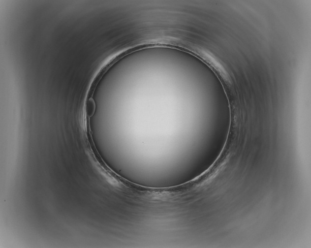 X0000111510940200907211200