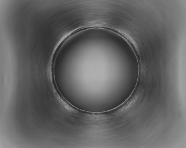 X0000111510941200907211200