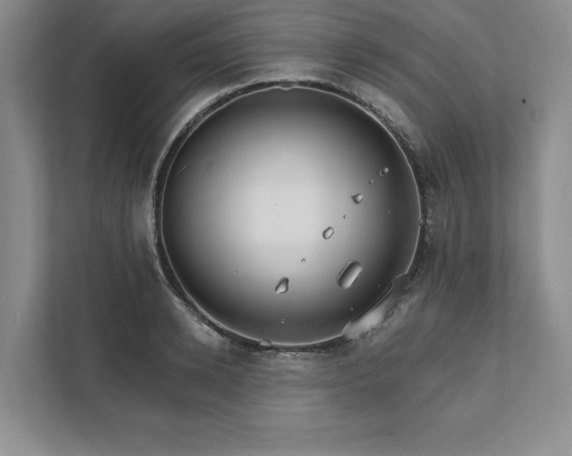 X0000111510942200907211200